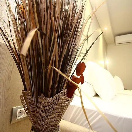 Garni Mlinarev San Hotel 3*