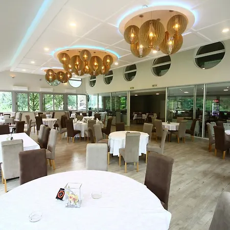 Garni Mlinarev San 3* Arilje